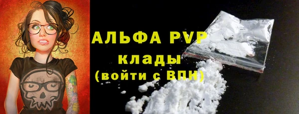 соль ск Инсар