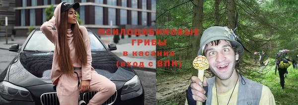 дмт Аркадак