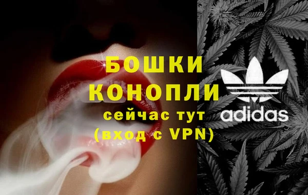 дмт Аркадак