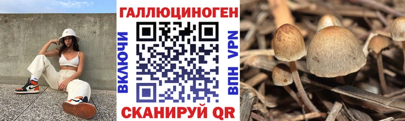 Псилоцибиновые грибы мухоморы Лахденпохья